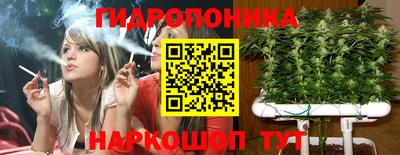 стаф Владивосток
