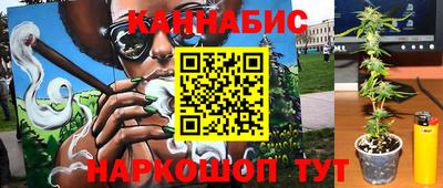 стаф Владивосток