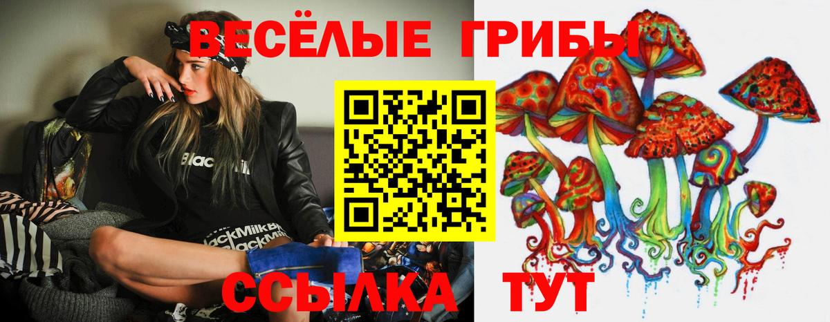 Галлюциногенные грибы Psilocybine cubensis Владикавказ